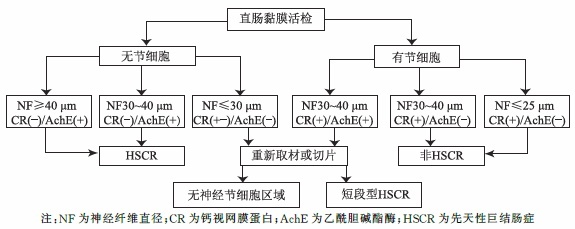 综述：先天性巨结肠的诊断