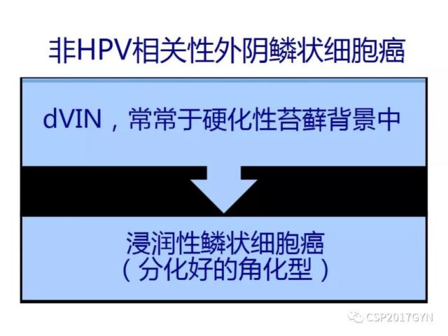 非HPV相关的外阴鳞状细胞肿瘤
