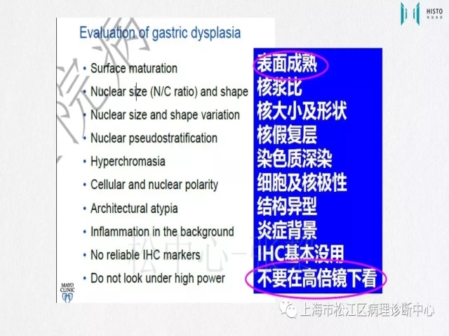 上消化道早癌病理诊断中的困惑及基本对策回顾