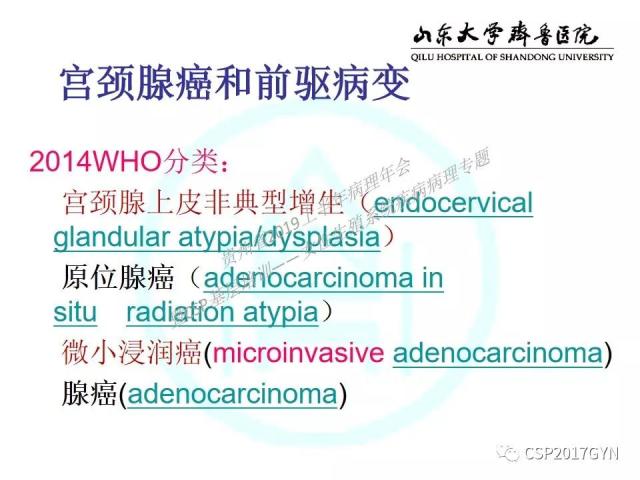 中华病理学会基层培训遵义站讲座（四）——宫颈腺癌的诊断及新分型