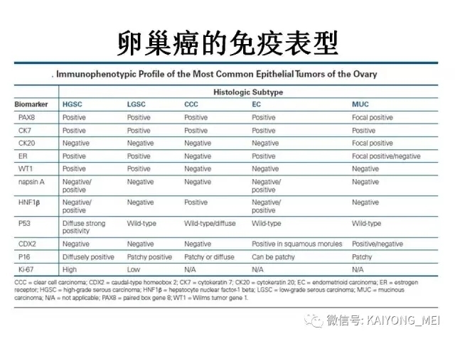 卵巢癌的病理诊断新进展（四）