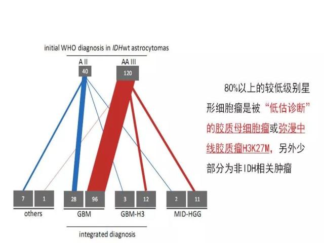 [病理诊断]广东省人民医院李智：胶质瘤的病理诊断 从组织学表型到分子表型