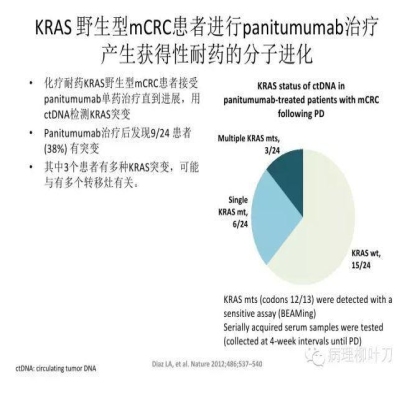 肿瘤精确医疗与分子病理检测
