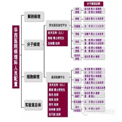 PQCC示范实验室展示——四川华西医院