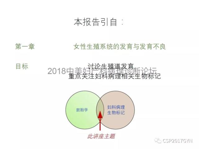 女性生殖道发育
