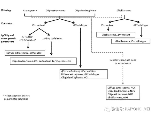 2016 WHO中枢神经系统肿瘤分类解读（一）