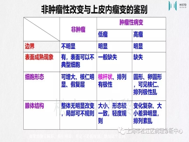上消化道早癌病理诊断中的困惑及基本对策回顾