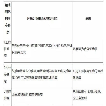 肿瘤病理学分类大全