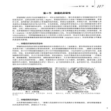 默认相册