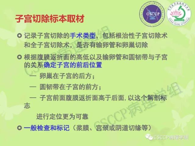宫颈与子宫病变病理标本取材