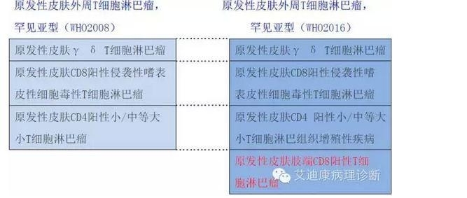 2016年版WHO淋巴瘤分类更新要点——黄雨华