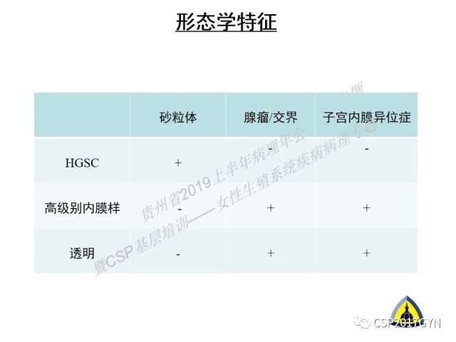 中华病理学会基层培训遵义站讲座（一）——卵巢和输卵管浆液性肿瘤的诊断和鉴别诊断