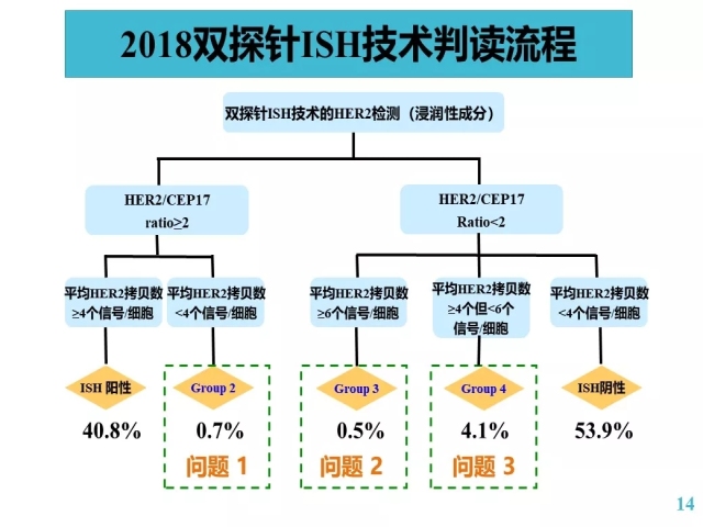 乳腺癌HER2检测指南更新