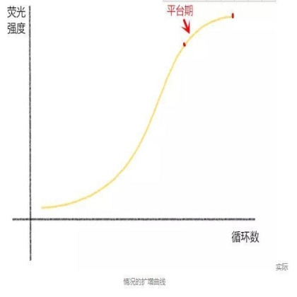 读图 | qPCR那些奇奇怪怪的曲线都代表啥？