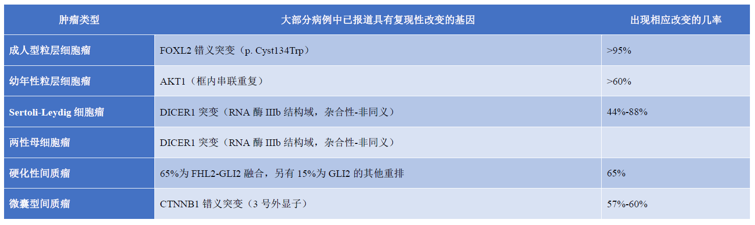 女性生殖道肿瘤WHO知识点更新-干货版（三）