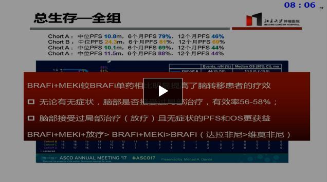 黑色素瘤脑转移药物治疗进展