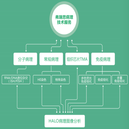 骨组织病理--骨组织脱钙的注意事项