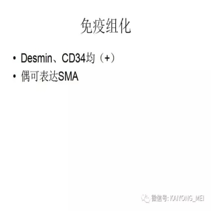 女性生殖道软组织肿瘤病理诊断及进展（二）