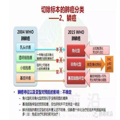 肺癌新分期和分类--临床和研究启示