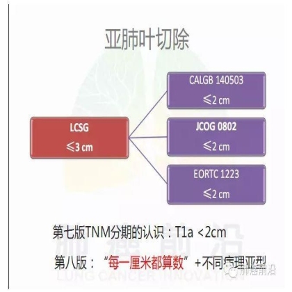 肺癌新分期和分类--临床和研究启示
