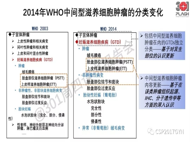 中间型滋养细胞肿瘤的诊断及鉴别诊断