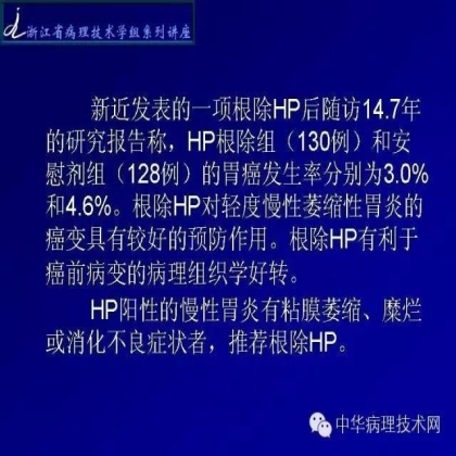 特殊染色 - HP染色