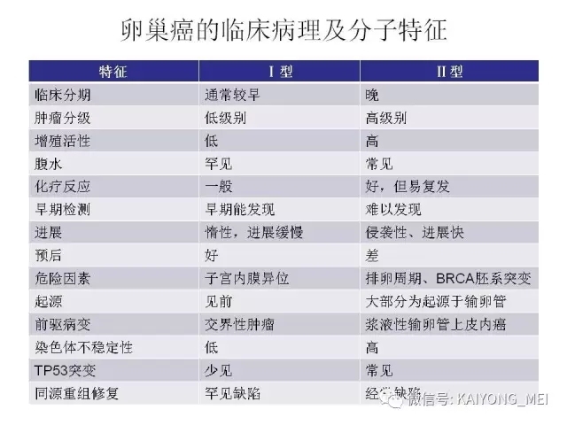卵巢癌的病理诊断新进展（一）