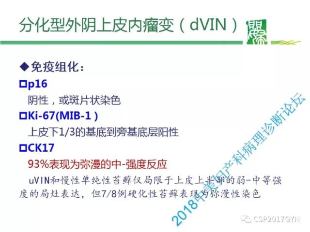 非HPV相关的外阴鳞状细胞肿瘤