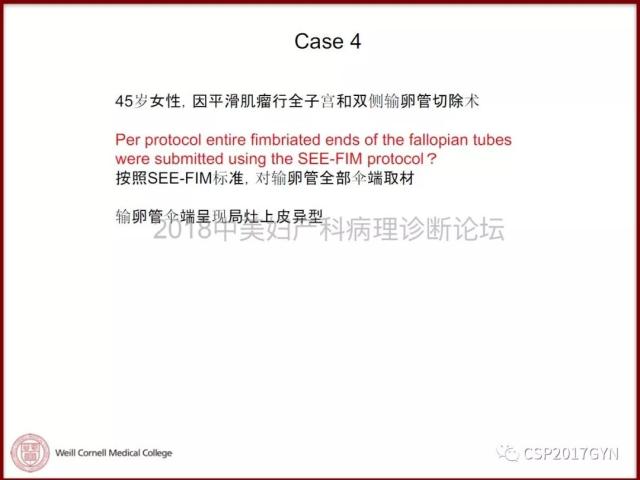非粘液性卵巢肿瘤的诊断挑战