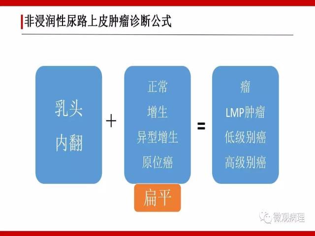 泌尿课程/非浸润性尿路上皮病变诊断的一些困惑