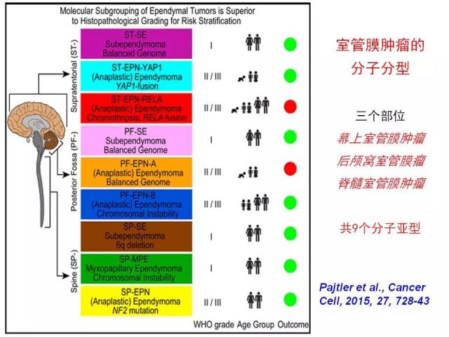 [病理诊断]广东省人民医院李智：胶质瘤的病理诊断 从组织学表型到分子表型