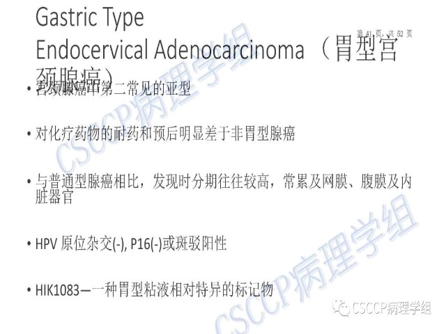 Atypical glandular cells: Recent Advances 非典型腺细胞新进展