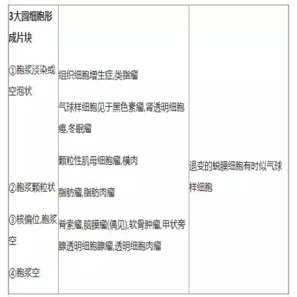 肿瘤病理学分类大全