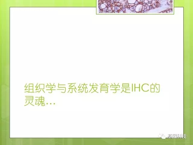 T细胞发育视角下的IHC分子