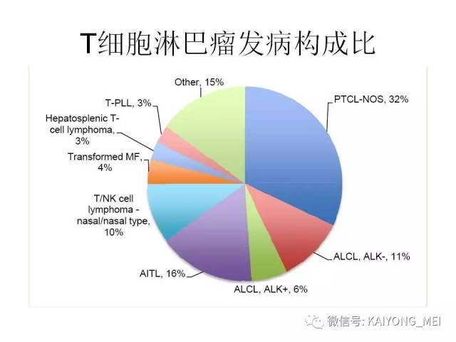 T细胞淋巴瘤病理诊断及进展（一）