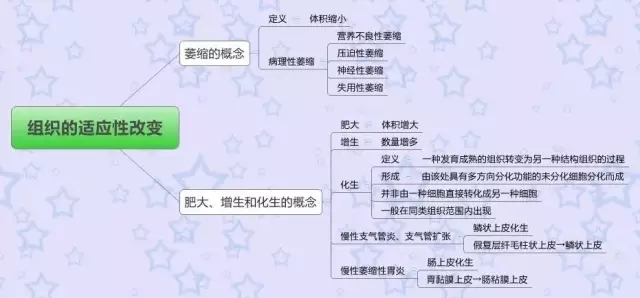 病理学思维导图 知识重点全有了