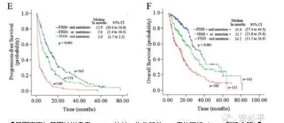 EGFR FISH的预测能力与突变相当——中山大学肿瘤医院数据引起的思考
