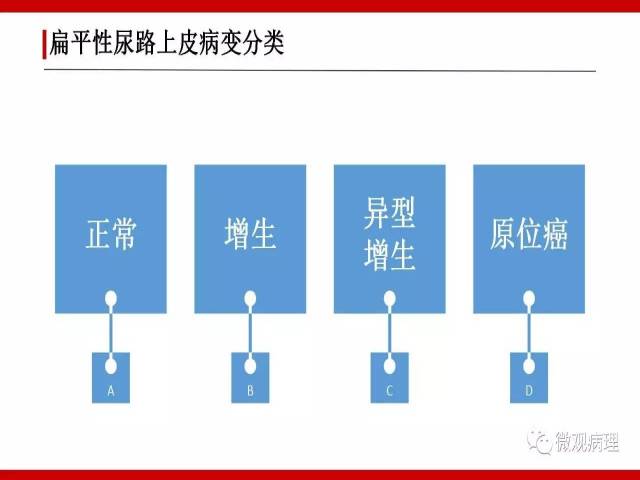 泌尿课程/非浸润性尿路上皮肿瘤诊断公式