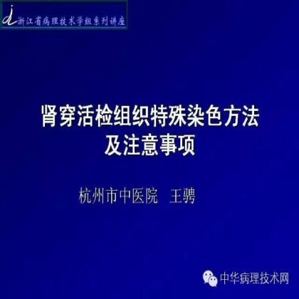 肾穿活检组织特殊染色方法