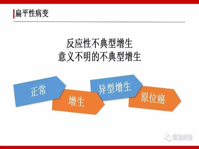 泌尿课程/非浸润性尿路上皮病变诊断的一些困惑