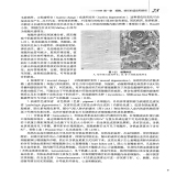 默认相册