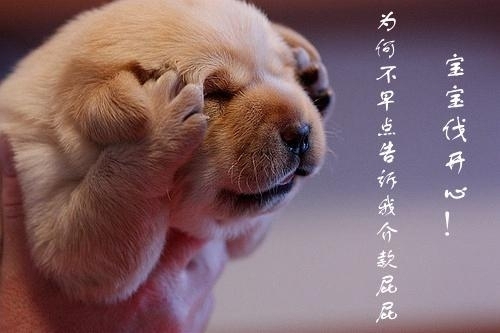 华夏病理APP 安卓版升级，快来更新吧