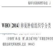 主译第四版WHO妇科肿瘤(2014)目录——纪念一下