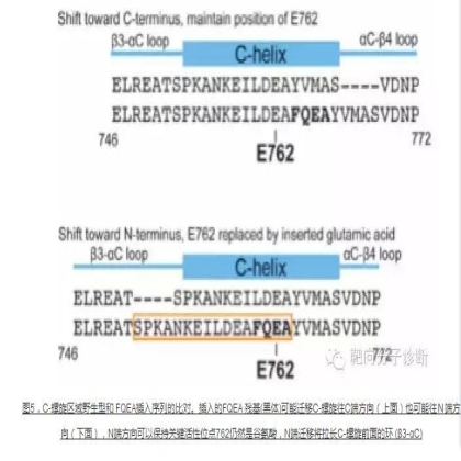 一个问题，为什么NCCN指南对20外显子插入突变提示 “可能预测临床对TKIs耐药”？