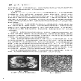 默认相册
