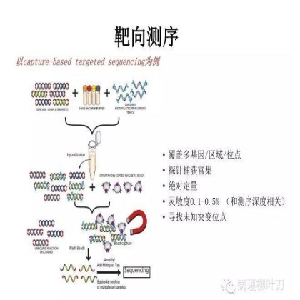 肿瘤精确医疗与分子病理检测