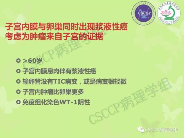 宫颈与子宫病变病理标本取材