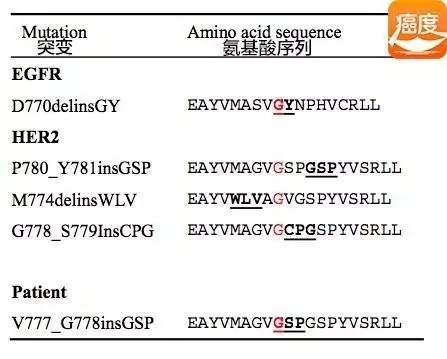 EGFR和HER2基因20外显子插入突变的用药问题