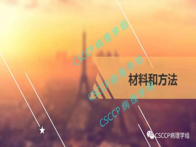 宫颈胃型腺癌中输卵管黏膜受累