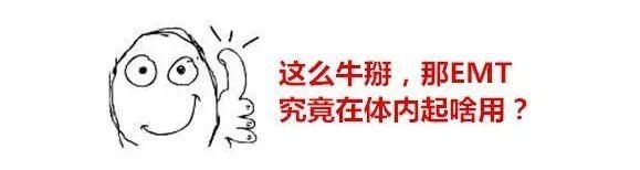 通路 | TGF-β：诱导EMT最重要的因子
